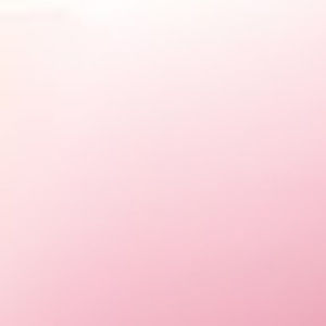 Meet your Posher, Corbin